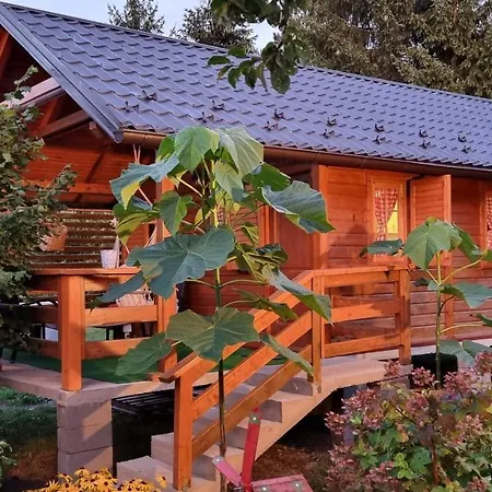 Sajra Holiday home