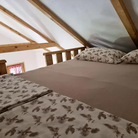 Prázdninový dům Sajra *